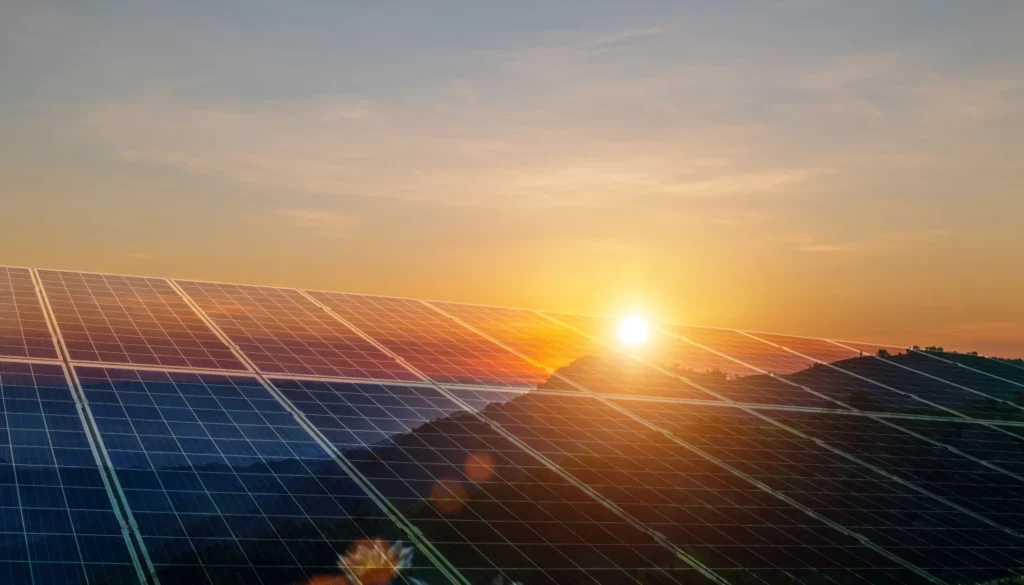 Location de panneaux solaires : bonne idée ou piège à éviter ? SBM SUN vous guide